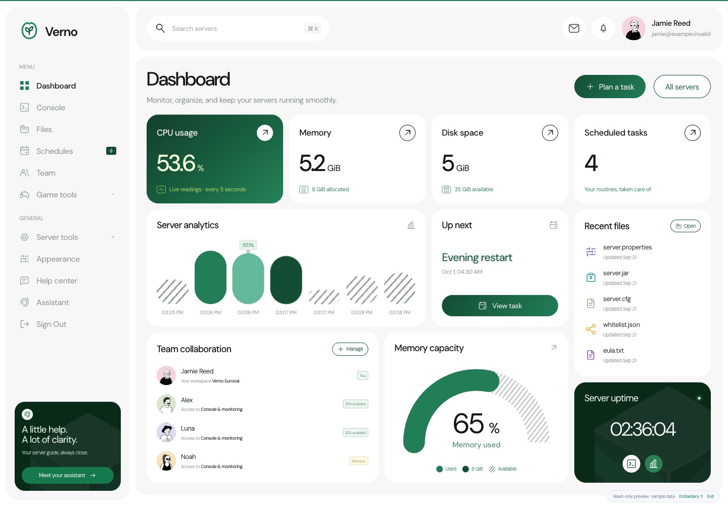 Verno Pterodactyl dashboard with a green resource card, analytics and team access